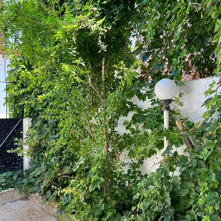 Konukzade Oldtown Gæstehus 3*