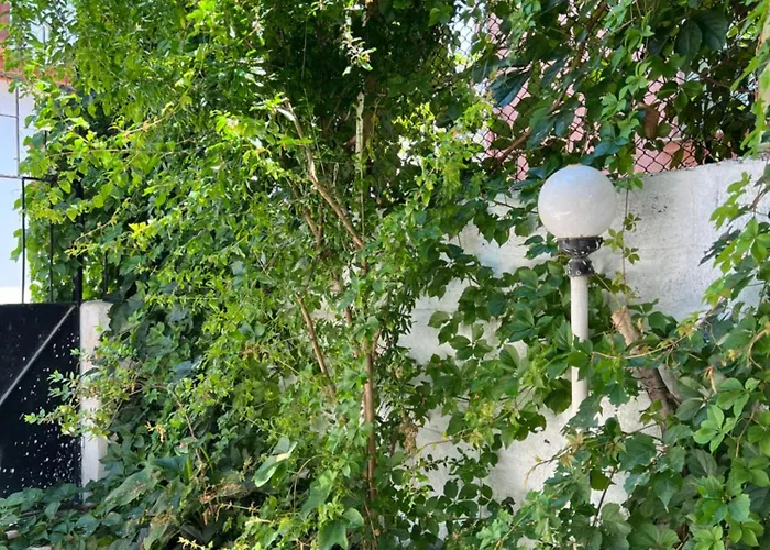 Konukzade Oldtown 게스트하우스 3*